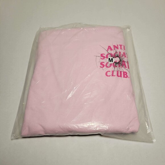 ASSC Shattered Glass Logo "Theories" Limited Edition Hoodie in Pink - Picture 3 of 4